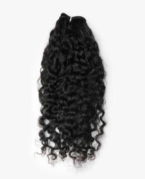 Burmese Curly 3 Bundle Deal